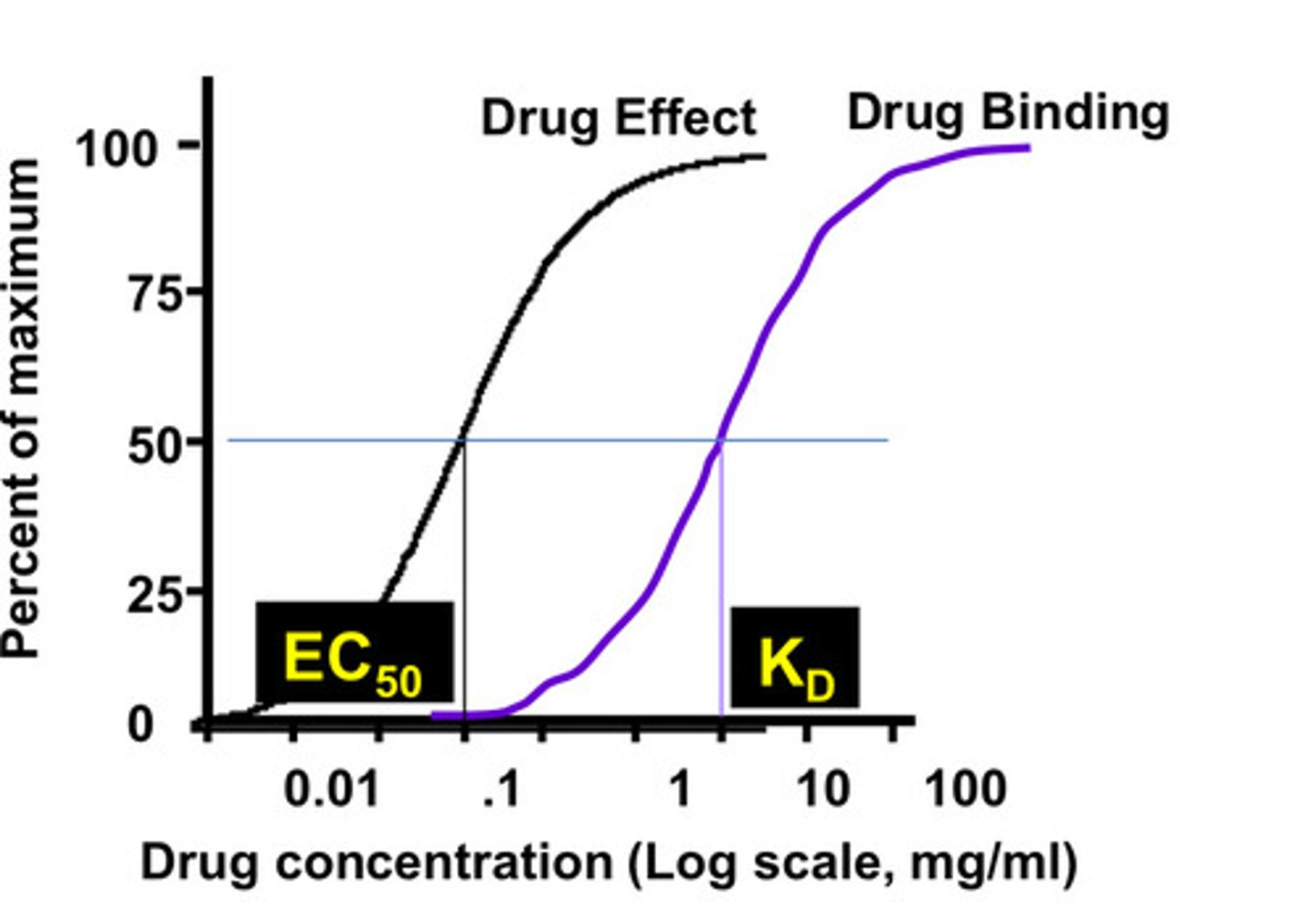 <p>What is the significance of spare receptors ?</p>