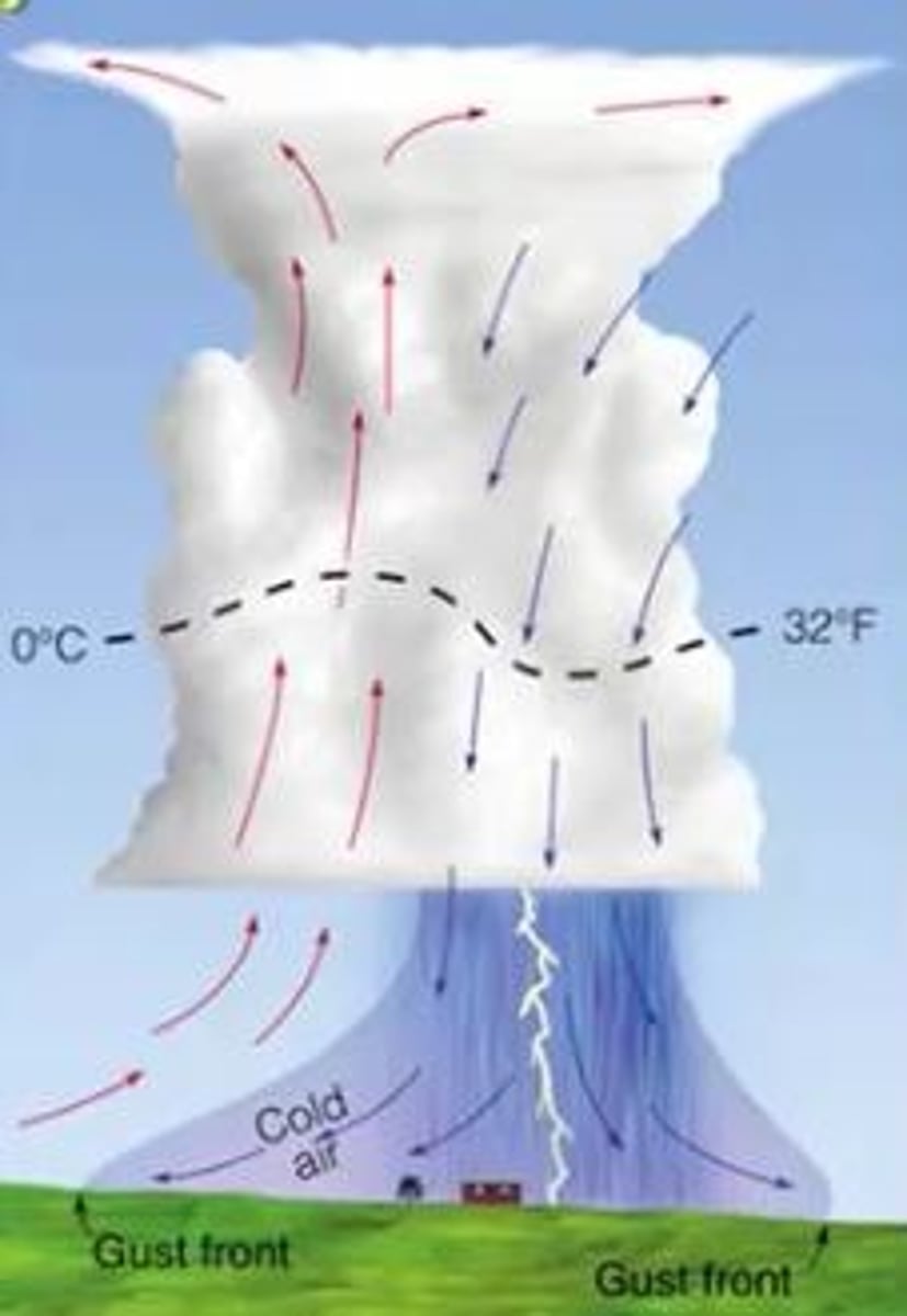 <p>thunderstorm is occurring/most active stage: requires a continuous supply of warm air and moisture where each surge causes air to rise higher producing cumulonimbus clouds</p><p>1 multiple choice option</p>