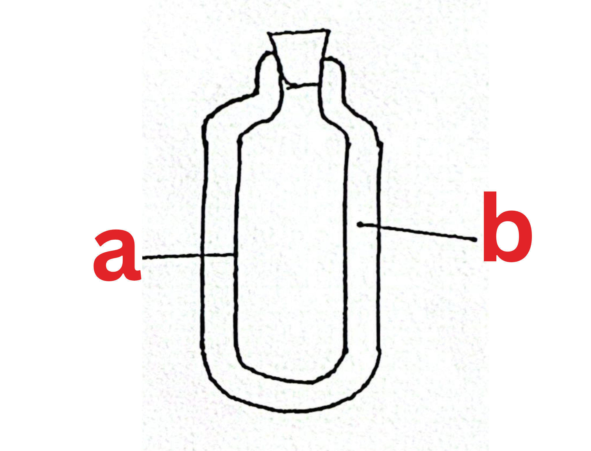 <p>Label This Diagram</p><p>The Thermos Flask</p>