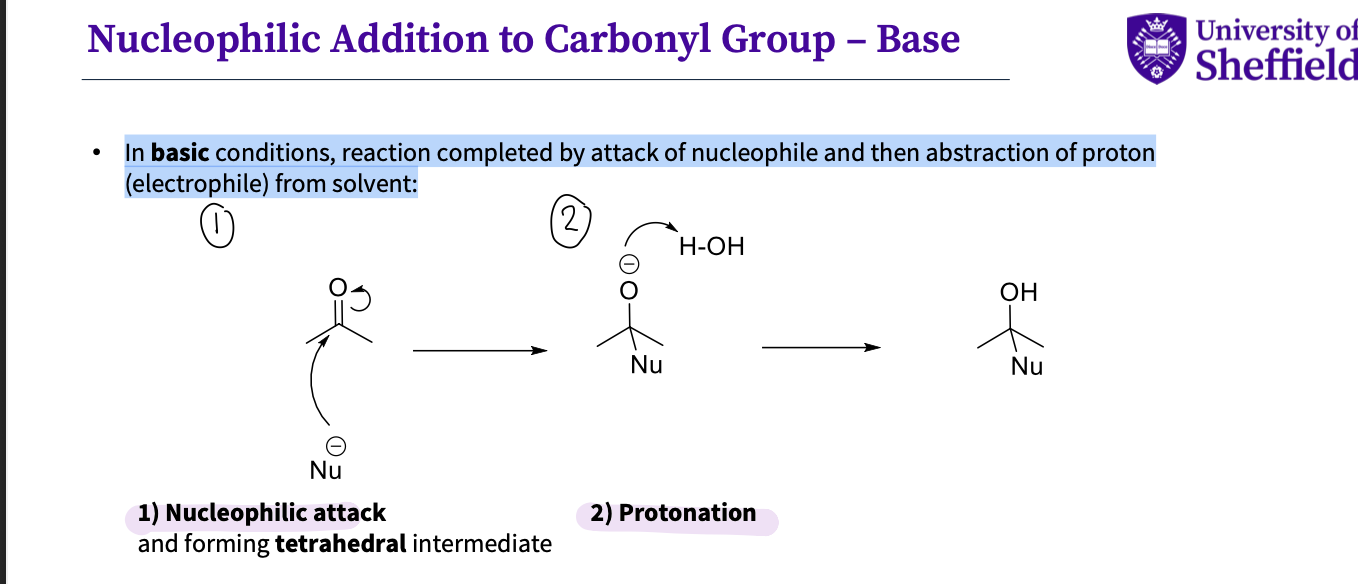<p>In basic conditions, reaction completed by attack of nucleophile and then abstraction of proton</p><p class="p1"><span>(electrophile) from solvent:</span></p><ol><li><p class="p1">nucleophilic attack = a tetrahedral intermediate&nbsp;</p></li><li><p class="p1">protonation to oxygen thi is called nucleophilic as the most significant change is formation of C-Nu&nbsp;</p></li></ol><p></p>