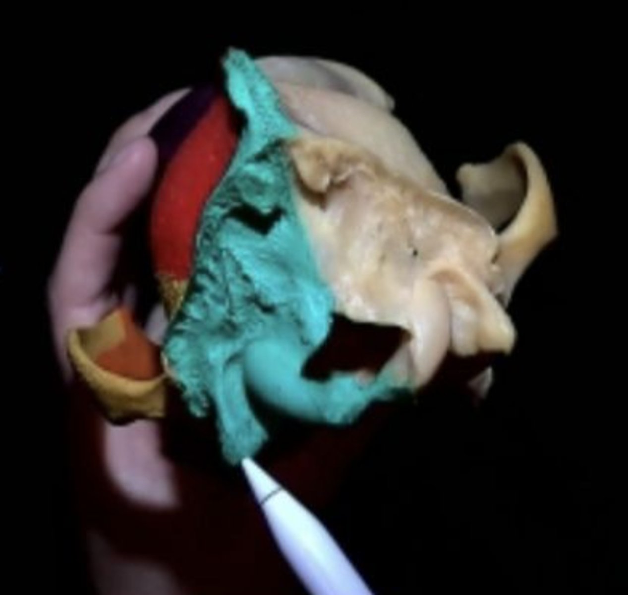 knowt flashcard image