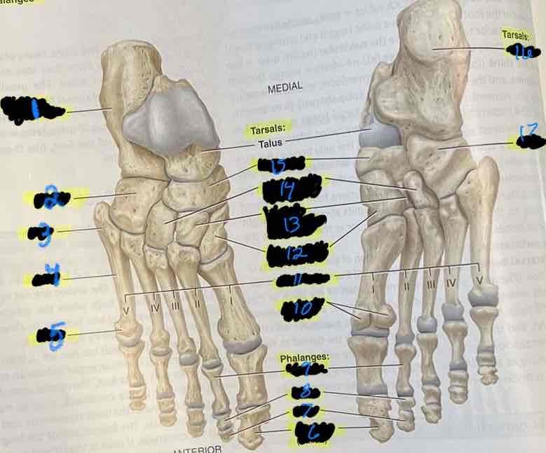 <p>13</p>