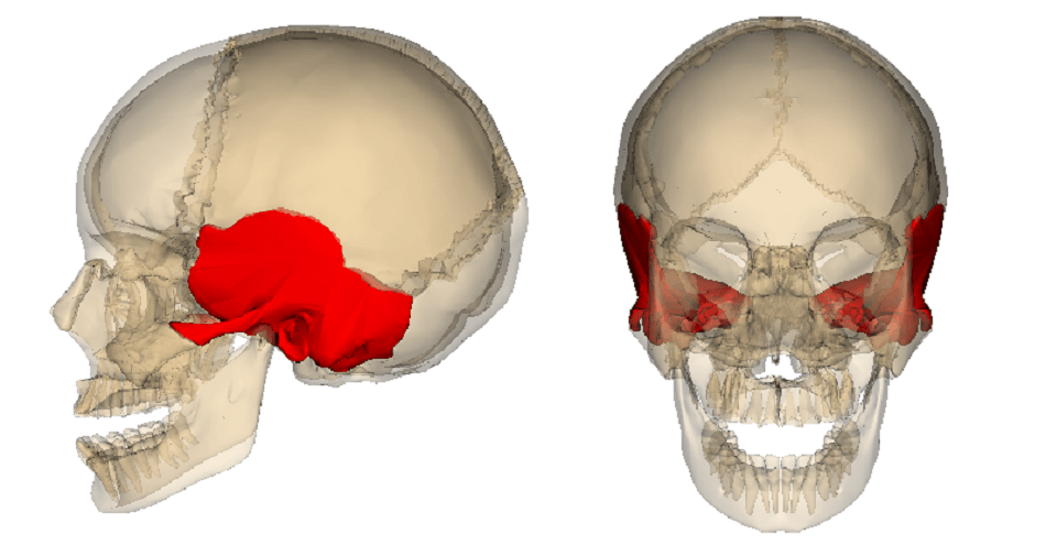 term image