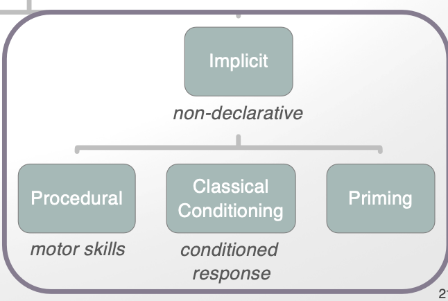 <p>non-declarative memory</p><ol><li><p><strong>procedural:</strong> motor skills </p></li><li><p><strong>classical conditioning: </strong>conditioned response<strong> </strong></p></li><li><p>priming </p></li></ol><p></p>
