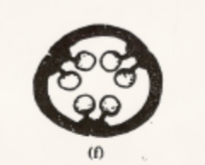 <p>Parietal placentation</p>