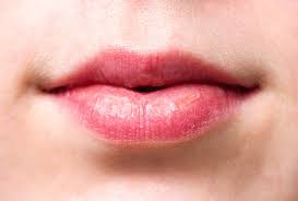 <p>lip</p>