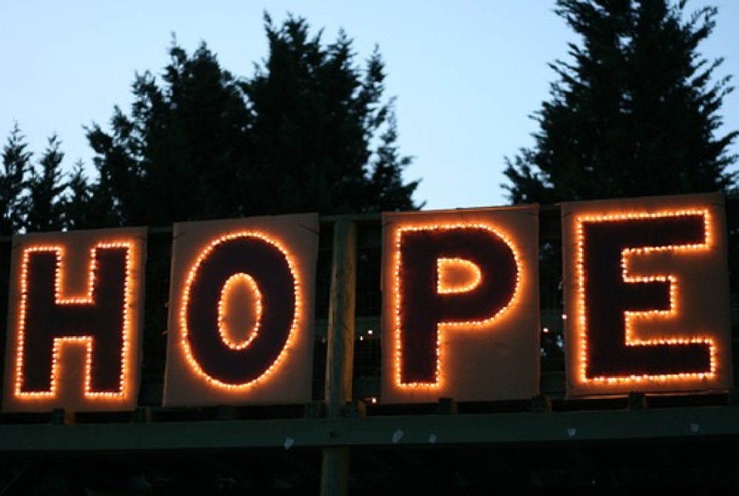 <p>Hope (xīwàng)</p>