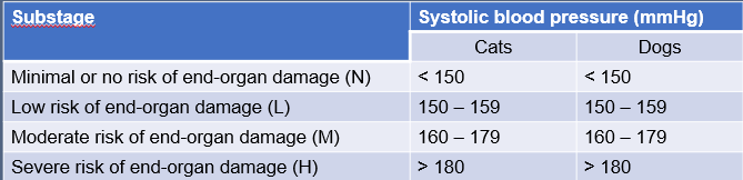 Cats with CKD may be hypertensice, resulting in progression of CKD and other clinical signs associated with the hypertension. Blood pressure should therefore be measured in all cats with CKD and a blood pressure substage allocated. Assessment for end-organ damage (also called target-organ damage) should be performed.