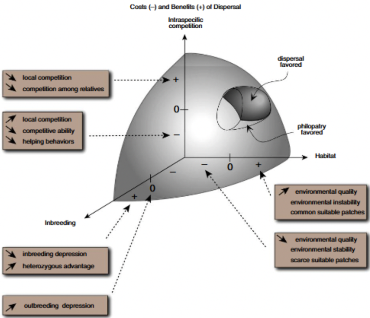 <p>Three major components: inbreeding, habitat, and intraspecific competiton </p><p>-: cost </p><p>+:benefit</p><p></p>