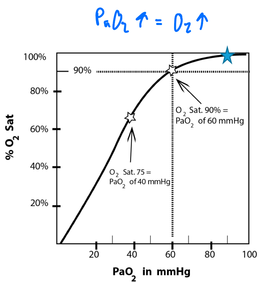 <ul><li><p>PaO2 of 70-90 is normal</p><ul><li><p>correlates with O2 sat ~90%</p></li></ul></li><li><p>direct correlation: incr PaO2=incr O2</p></li></ul><p></p>