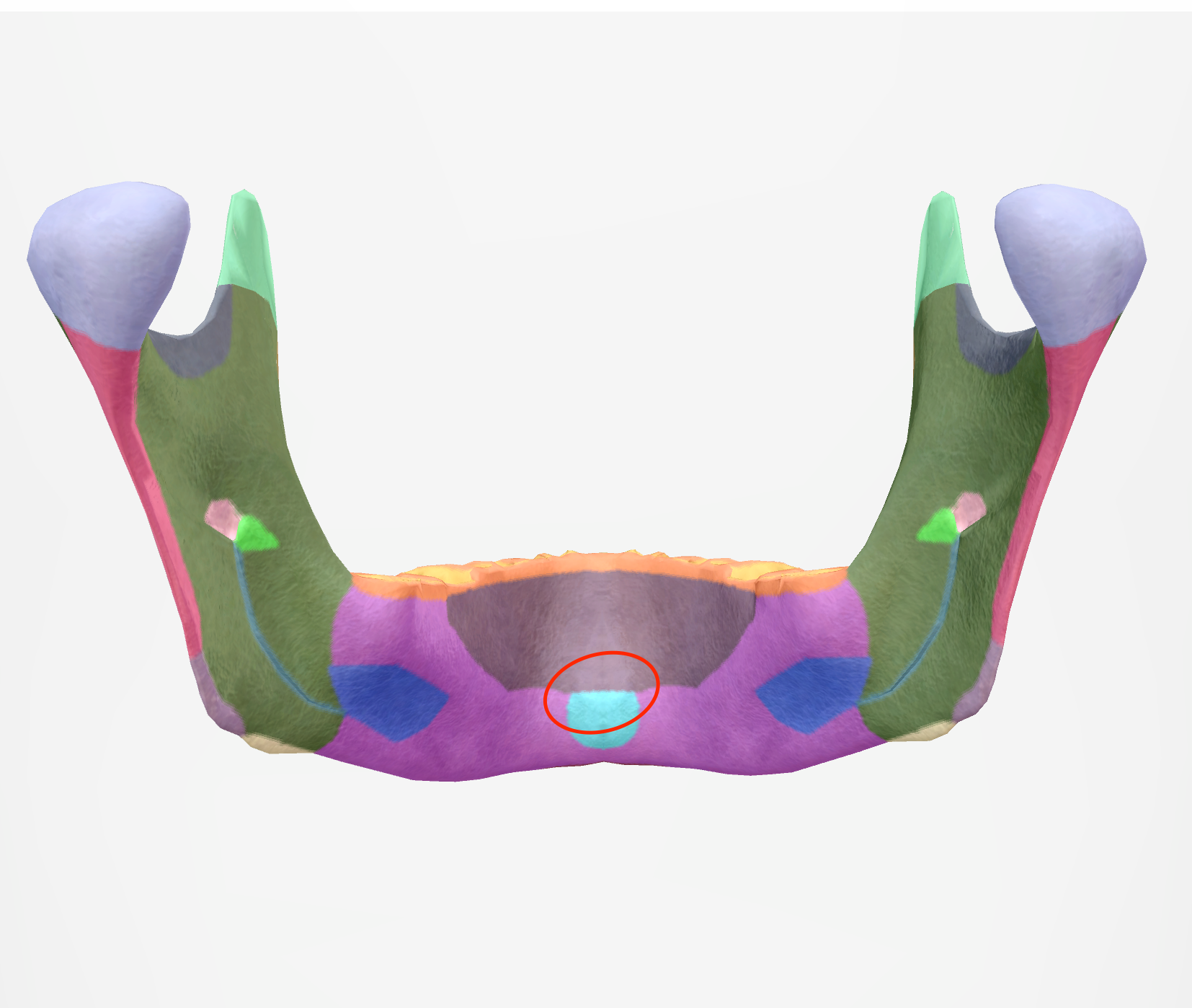 <p>top bump on the posterior alveolar process of the mandible </p>