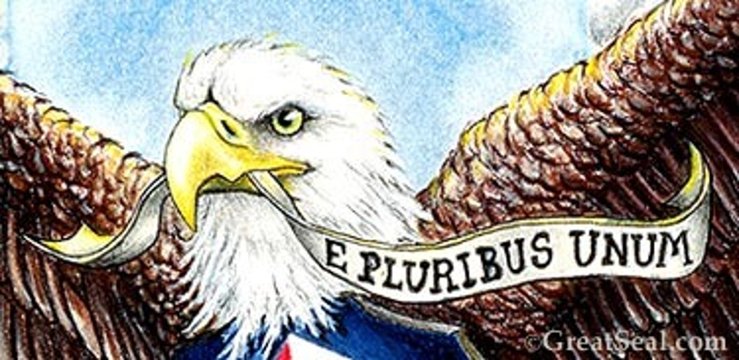 <p>-Participatory</p><p>-Pluralism</p><p>-Elitism</p>