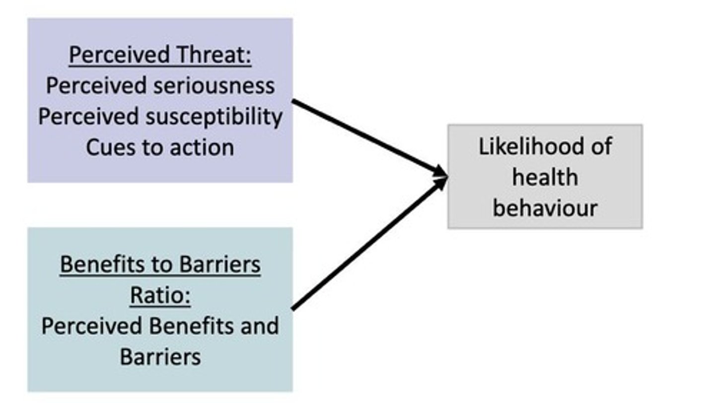 <p>A model that suggests the likelihood of taking preventive action is influenced by perceived threat and perceived benefits versus barriers.</p>