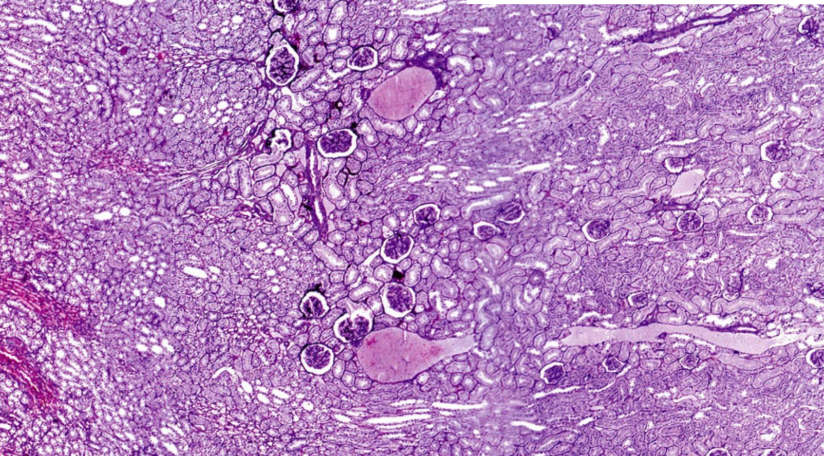 <p>ID the image</p>