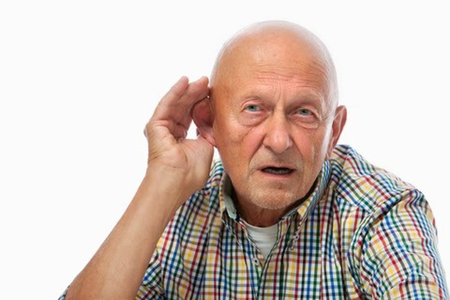 <p>auditory</p>