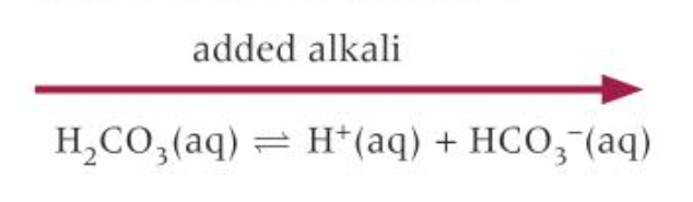 <p>[OH-] increases</p><p>H+ ions react with OH- ions to form H2O</p><p>H<sub>2</sub>CO<sub>3</sub> dissociates so equilibrium shifts to the right </p>