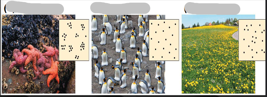 <p>Fill in the blank (left to right)</p>