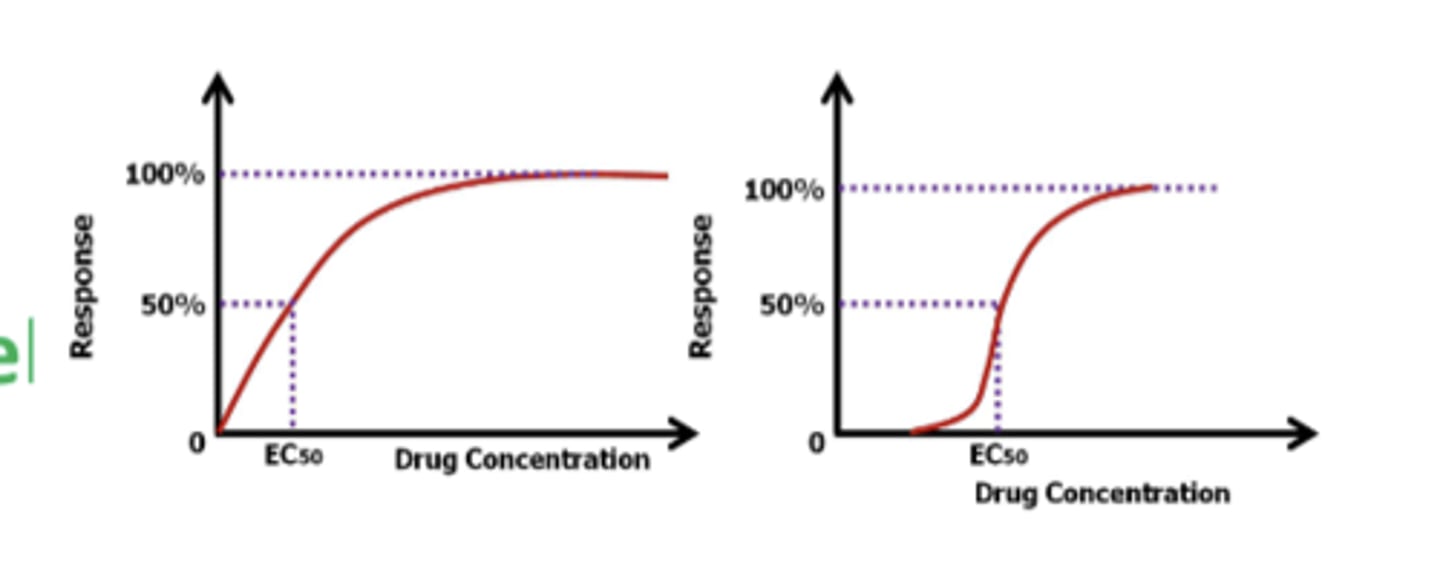 <p>to the affinity of the drug-receptor complex</p>