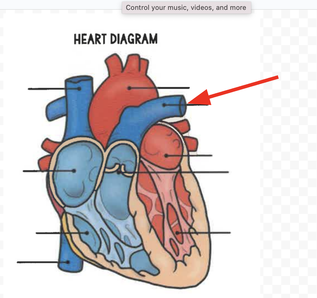 term image