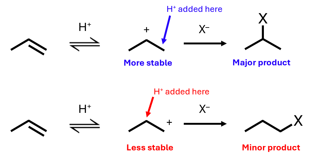 <ul><li><p>The acid always adds to form the more stable carbocation</p></li><li><p>This is called regioselectivity – the selection of one region of the molecule over another</p></li><li><p>More stable secondary carbocation is more likely to form - more of the 2-halogenopropane is formed</p></li></ul><p></p>