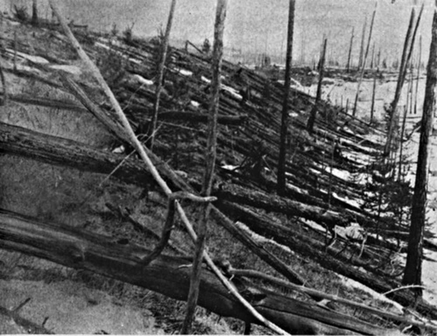 <p>Siberia 1908, flattened forests</p>