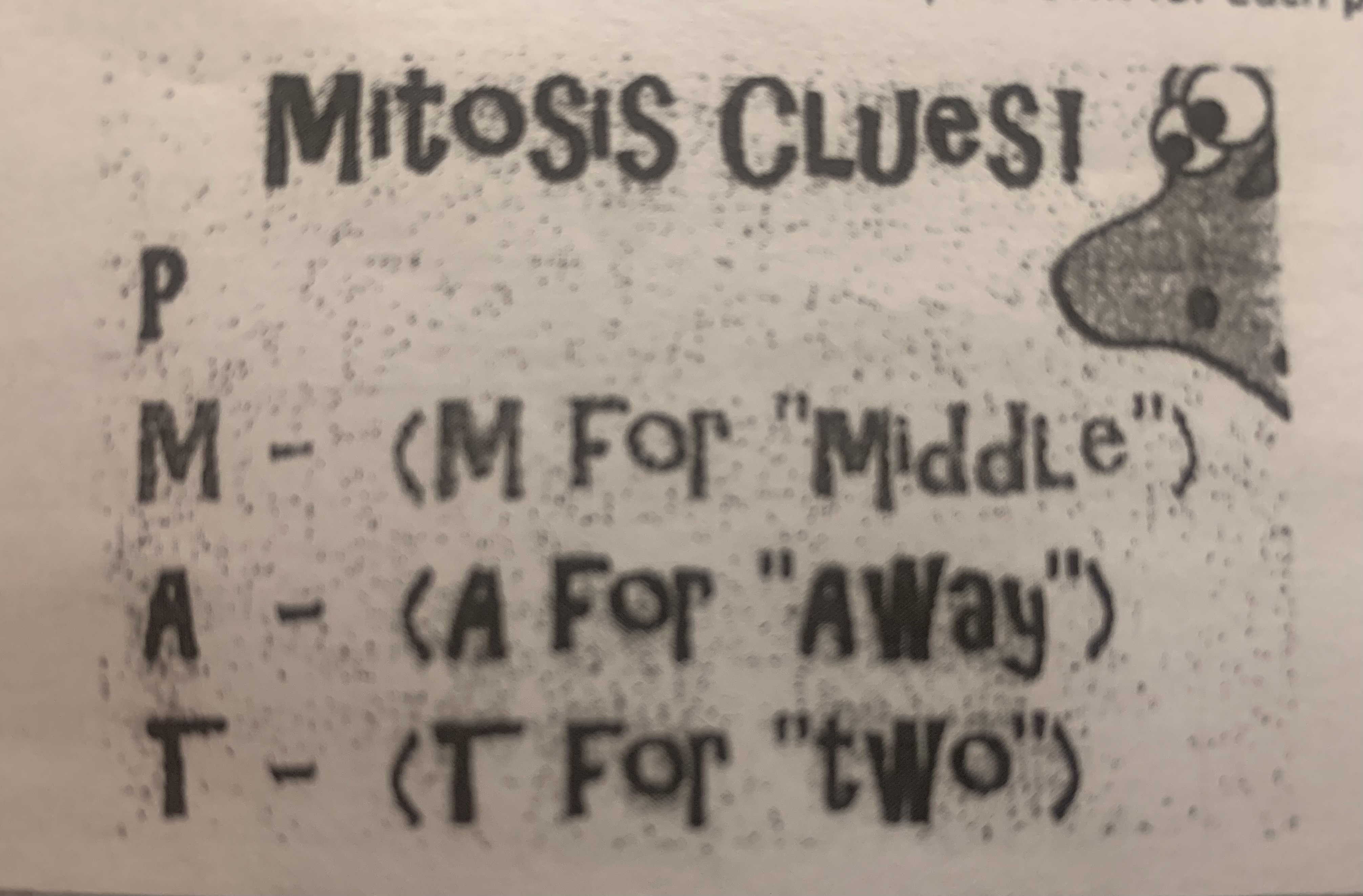 <p><span><strong>How are mitosis and meiosis different?</strong></span></p>