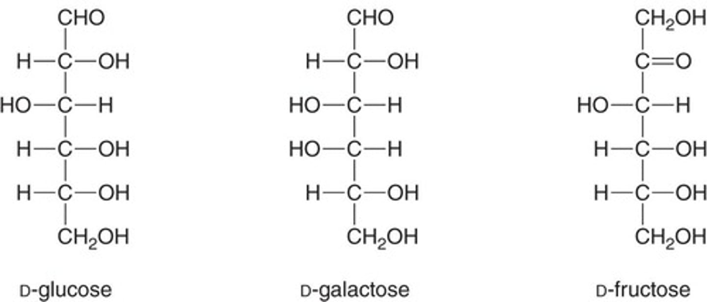 <p>Sugars that can be oxidized, such as D-glucose and D-fructose.</p>