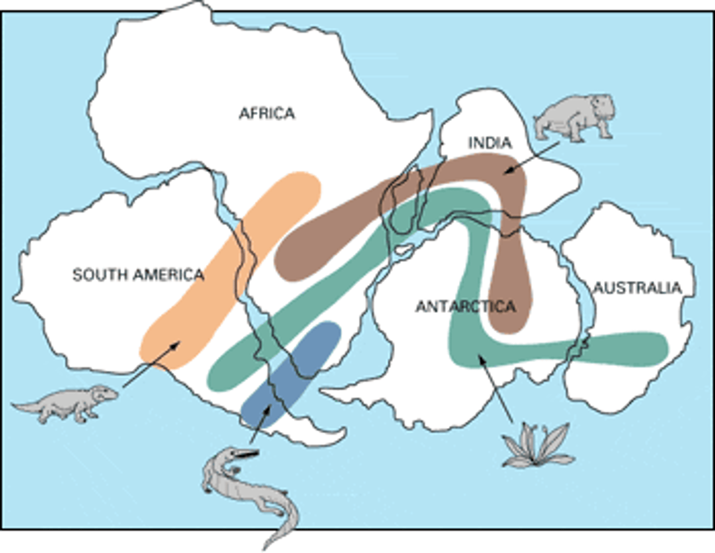 <p>land features, fossils, and climate</p>
