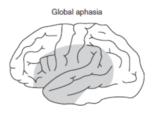 <p>All severely impaired</p>