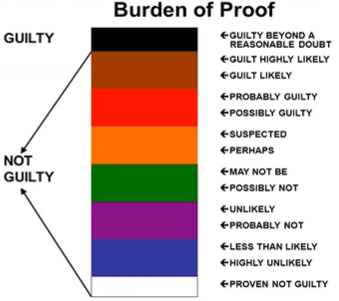 <p>The Government must prove a defendant’s guilt <strong>beyond a reasonable doubt</strong></p>