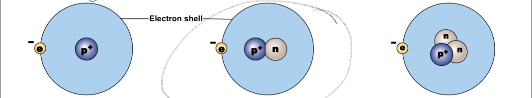 <p>Nucleus contains a proton and a neutron, mass number: 2</p>