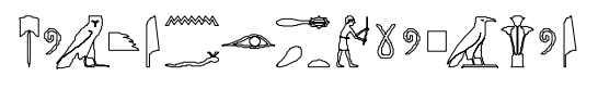 term image