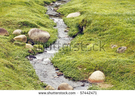 a creek