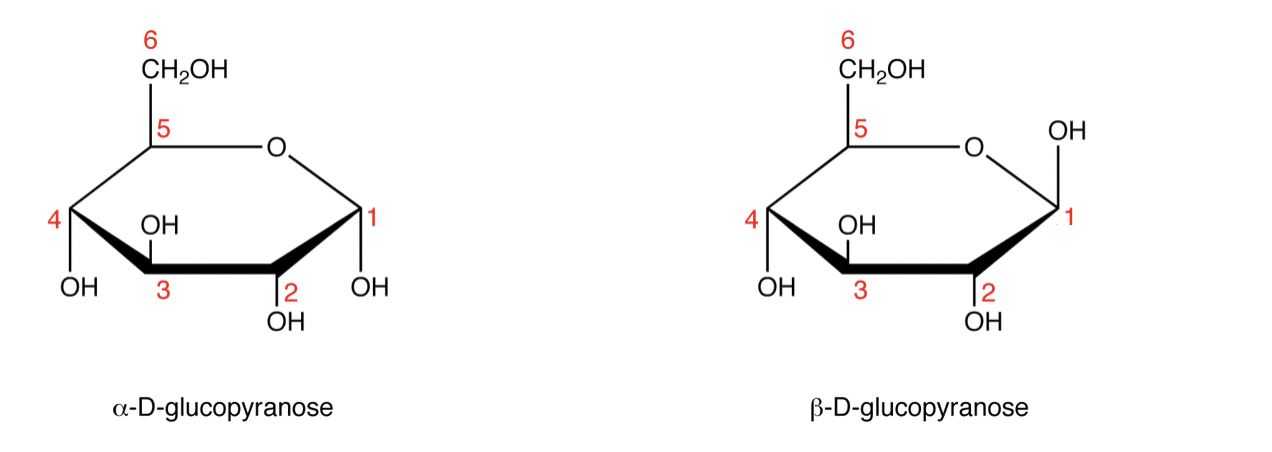 <p>Where is the anomeric carbon? Define it.</p>