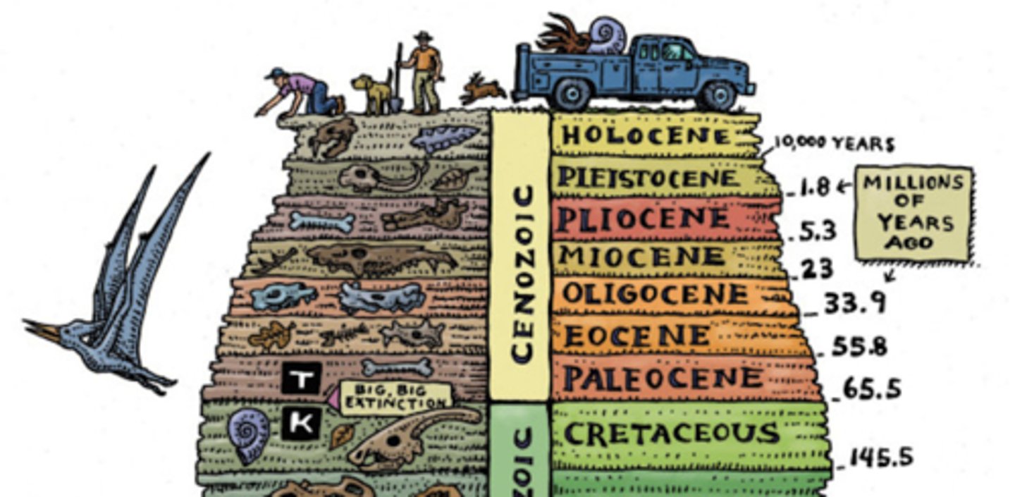<p>Some scientists argue that human activities have had such a significant impact on the planet that we have entered a new geological epoch called the Anthropocene, meaning "new man."</p><p>This term reflects the idea that humans are now the dominant force shaping Earth's climate and environment.</p><p>In 2019, a panel of scientists voted to approve the name Anthropocene, acknowledging humanity's profound influence on the planet.</p>