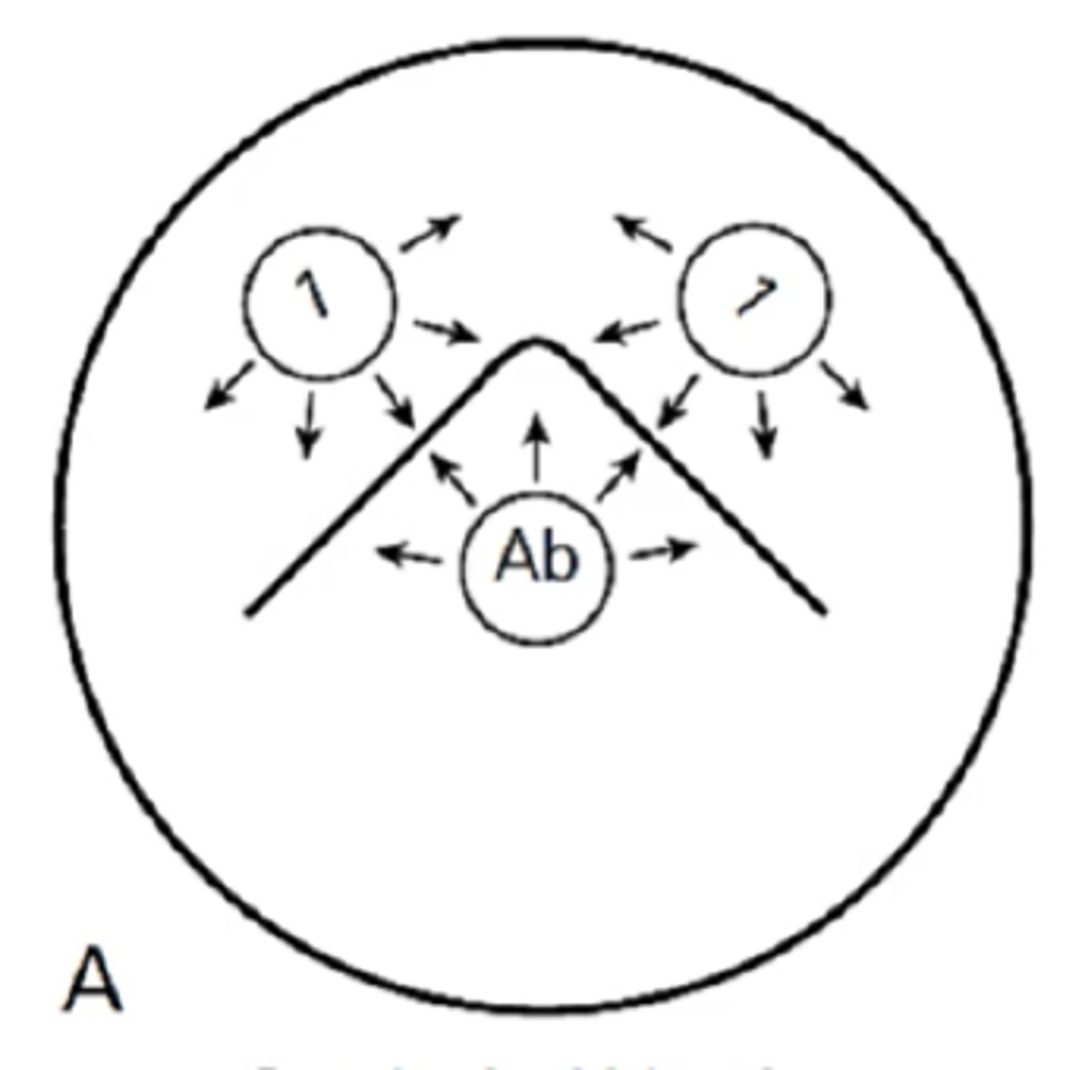 <p>Identify Ouchterlony diffusion pattern</p>