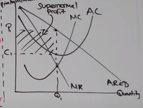 <p>What is the efficiency of this monopoly?</p>