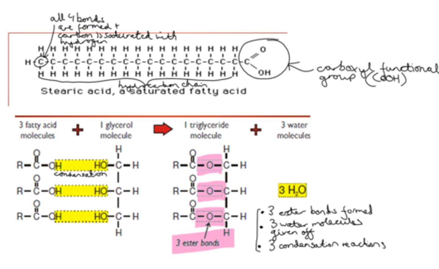 <p>When a triglyceride is formed, there is a condensation reaction between the carboxyl group of each fatty acid and the hydroxyl functional groups of the glycerol molecule, evolving 3 H2O (water) molecules and forming ester (covalent C-O) bonds between the glycerol and fatty acid molecules.</p>