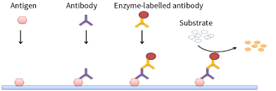 <p>The following figure demonstrates how _________ works</p>