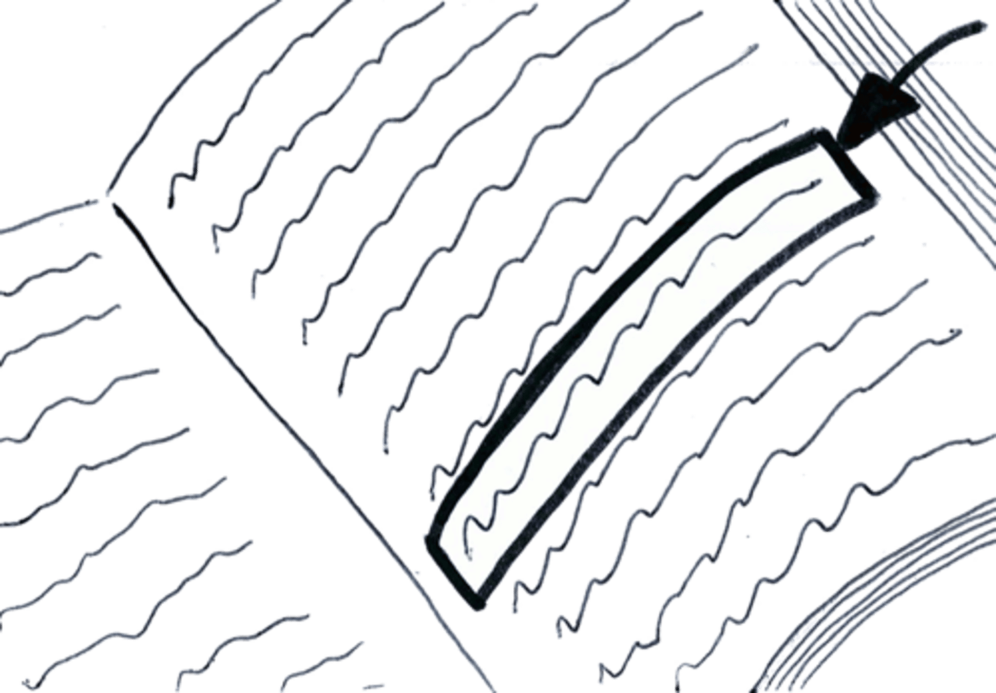 <p>indent, new paragraph</p>