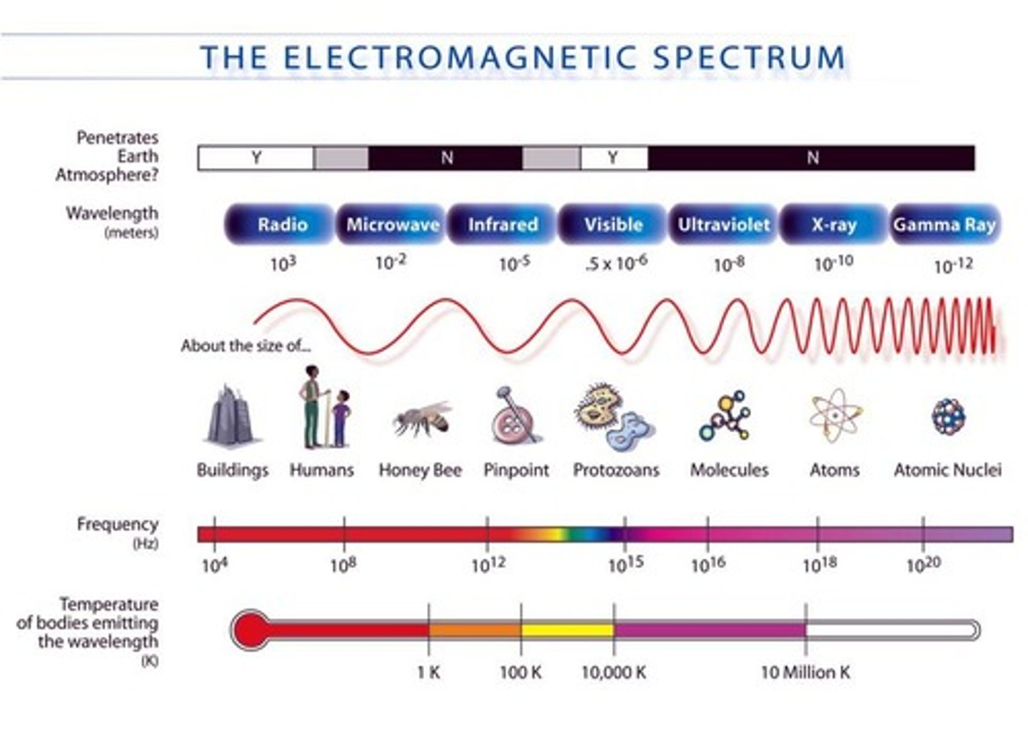 <p>High-energy light damaging to living organisms.</p>