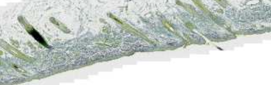 <p>What is this?</p>