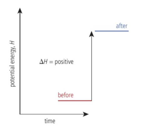 <p>The enthalpy of the system increases.</p>