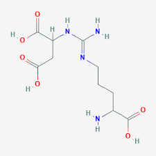 <p>citruline + asp make arginosuccinate; </p><p>REQUIRES ATP AND ARGINOSUCCINATE SYNTHASE</p>