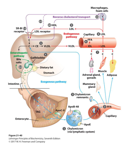<p>Summary</p>