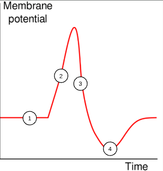 <p>1</p>