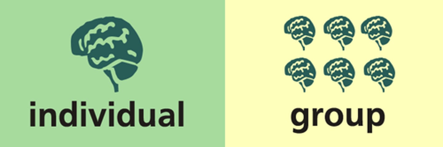 <p>refers to how self-oriented members of a culture are in their behavior. Two ends of one cultural dimension.</p>