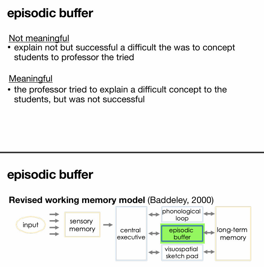 <p>• episodic buffer: integrates information across modalities (visual, verbal) to form units</p><p>EX: Imagine you watch a short video where a person says, “Let’s go to the beach,” while standing in front of the ocean.</p><ul><li><p>The <strong>phonological loop</strong> handles the words you hear.</p></li><li><p>The <strong>visuospatial sketchpad</strong> processes the image of the beach.</p></li><li><p>The <strong>episodic buffer</strong> <strong>combines</strong> the sound and image into a single, meaningful <strong>episode</strong> you can later recall as a whole.</p></li></ul><p></p>