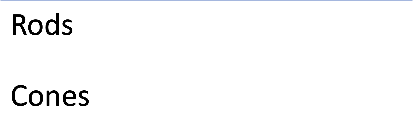 <p>Which photoreceptor type is best suited for night vision?</p>