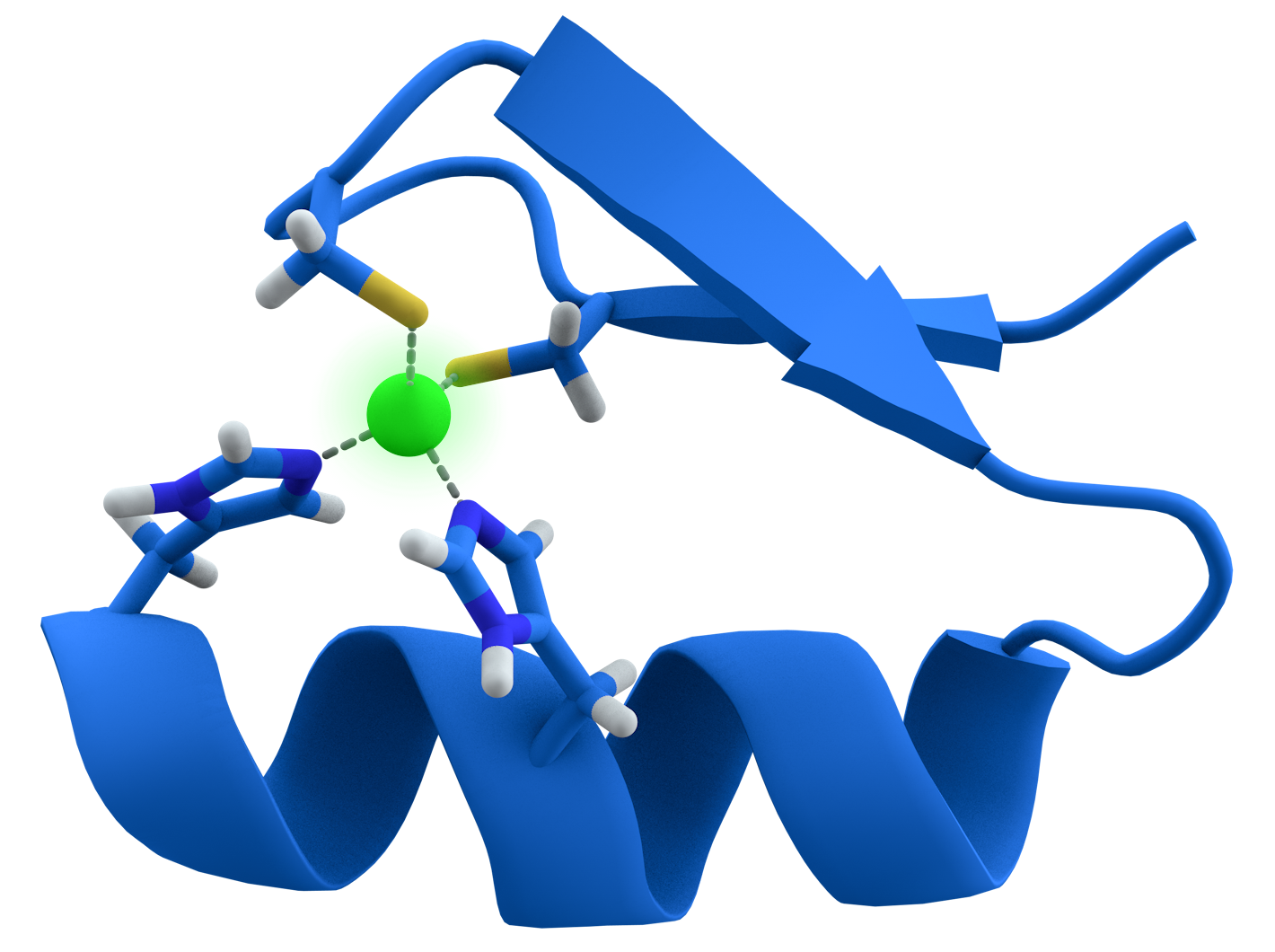 <p>Zinc Finger Motif</p>